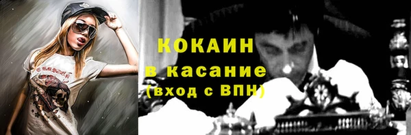 трава Дмитриев