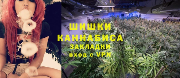 трава Дмитриев