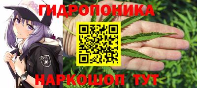 эйфоретик Новозыбков
