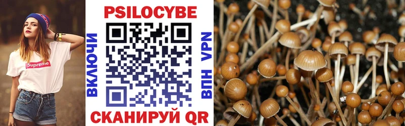 Псилоцибиновые грибы MAGIC MUSHROOMS  Дятьково 