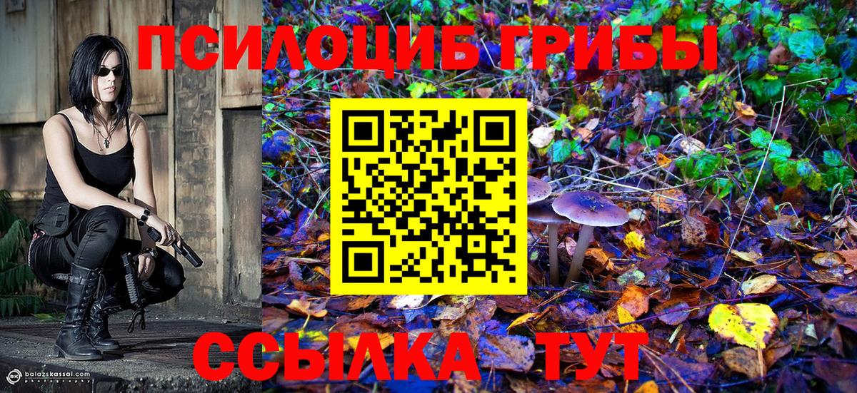 Дятьково  Галлюциногенные грибы Cubensis  Вход с VPN  Галлюциногенные грибы ЛСД 