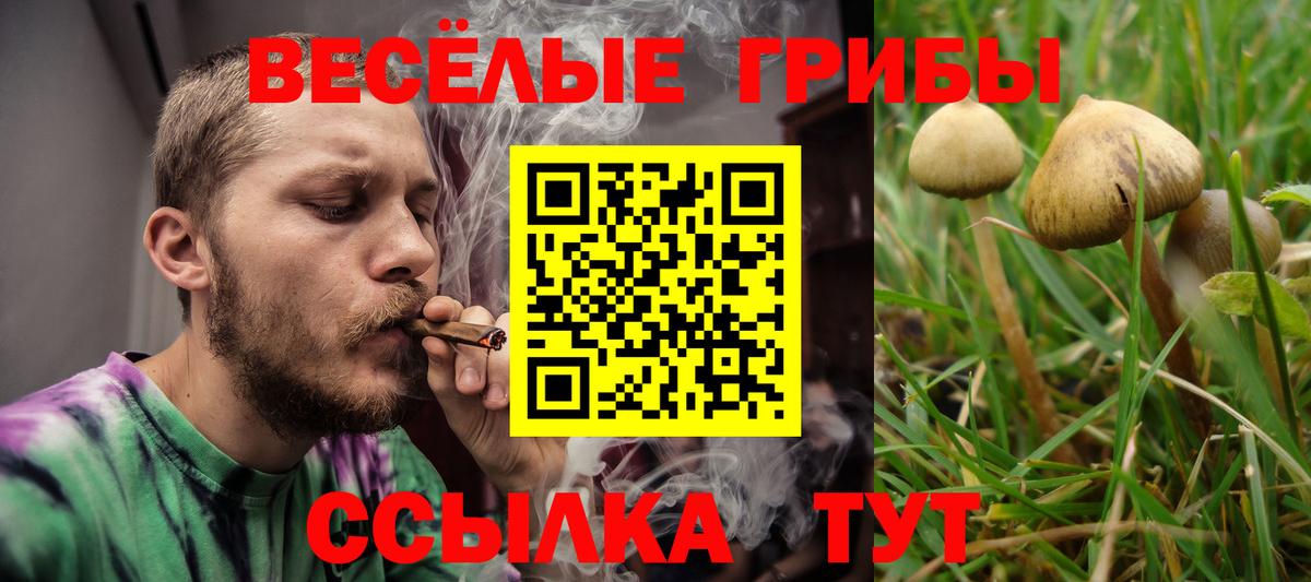 Псилоцибиновые грибы прущие грибы Дятьково